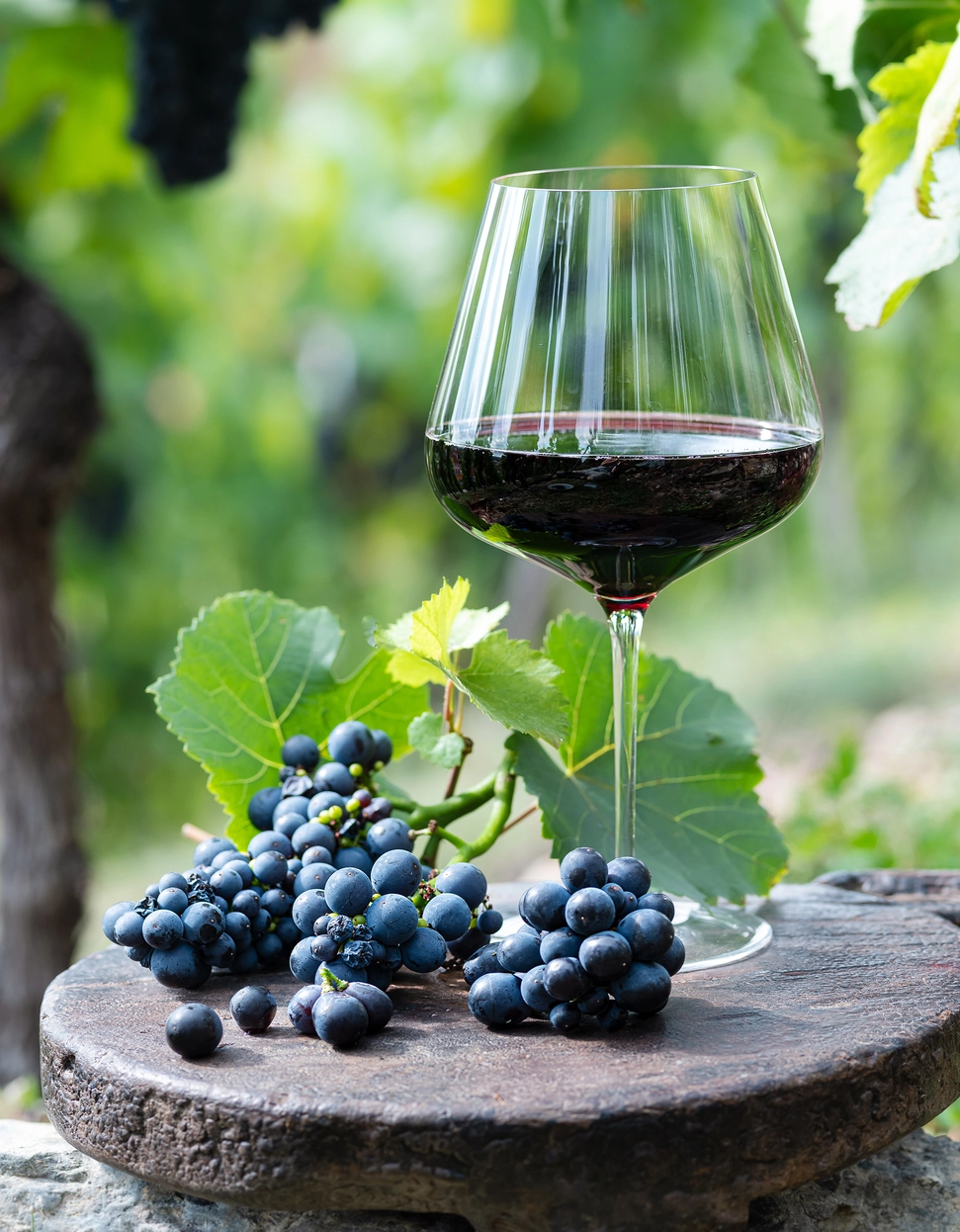 Verre à Vin Rouge 650ml Oeno en Cristal de Bohême Uni - Moser – Image 3