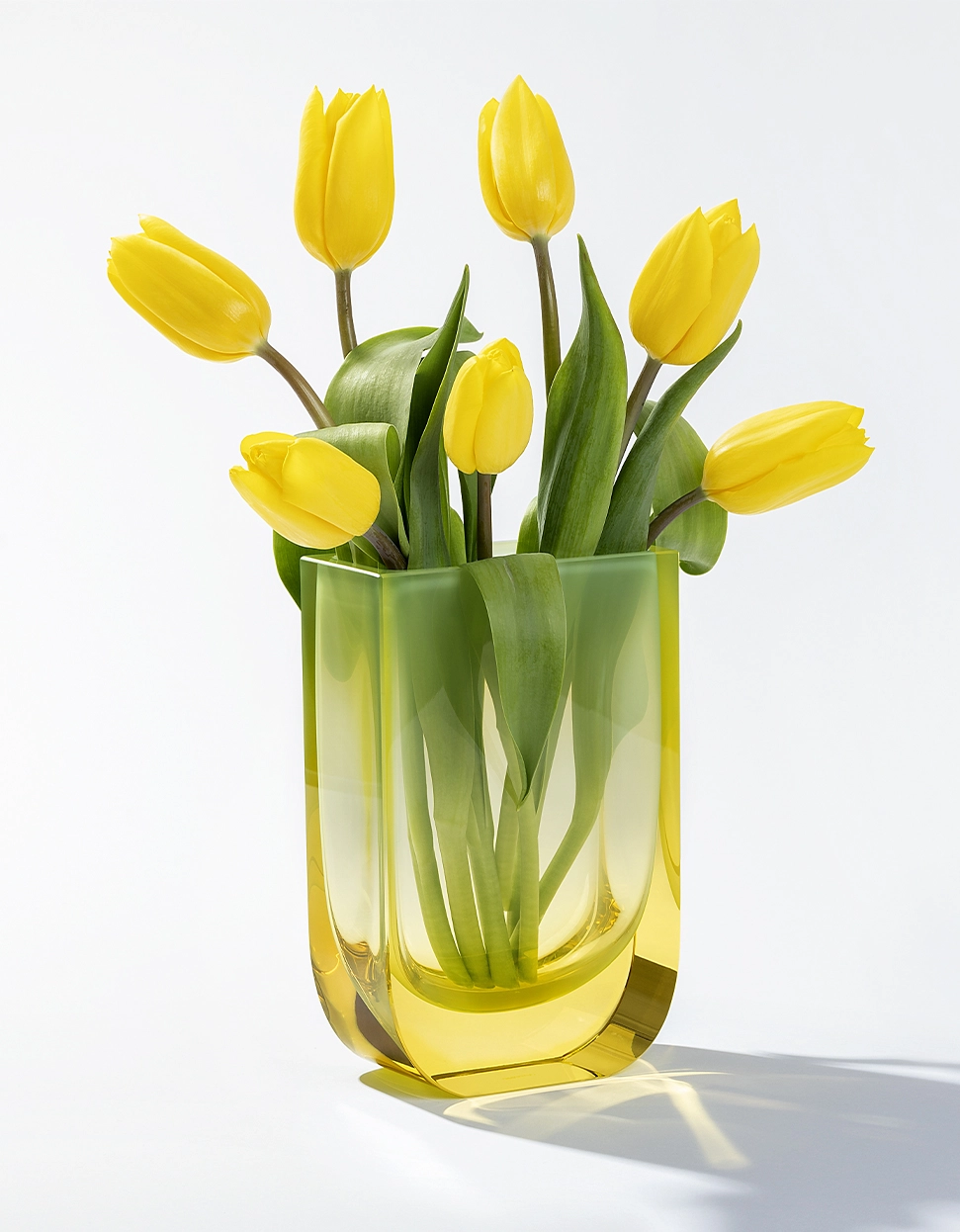 Vase 29cm Four Seasons en Cristal de Bohême Taillé - Moser – Image 4